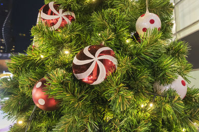 Close-up of christmas tree