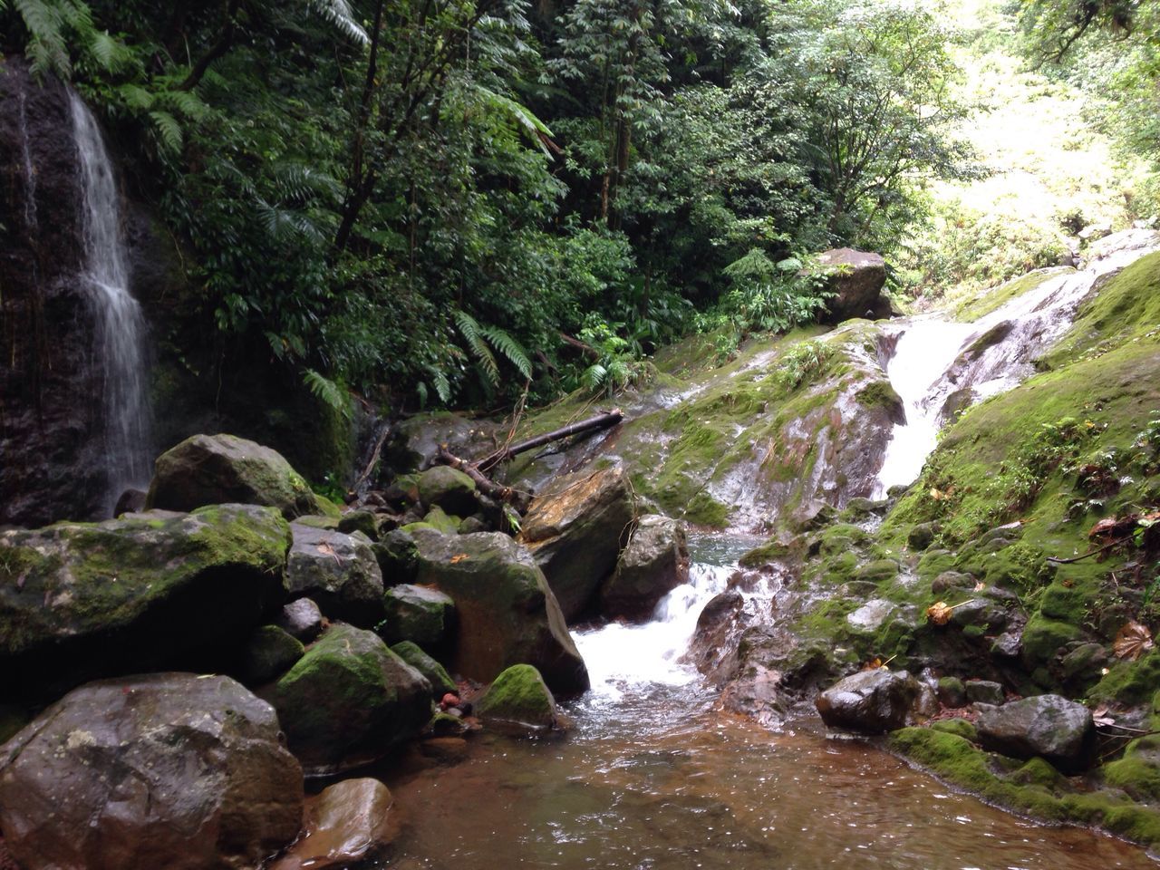 water, flowing water, rock - object, motion, flowing, beauty in nature, waterfall, nature, tree, stream, scenics, forest, river, tranquility, long exposure, tranquil scene, rock, waterfront, rock formation, idyllic