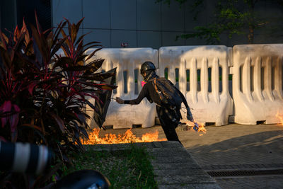 Bird perching on a sculpture