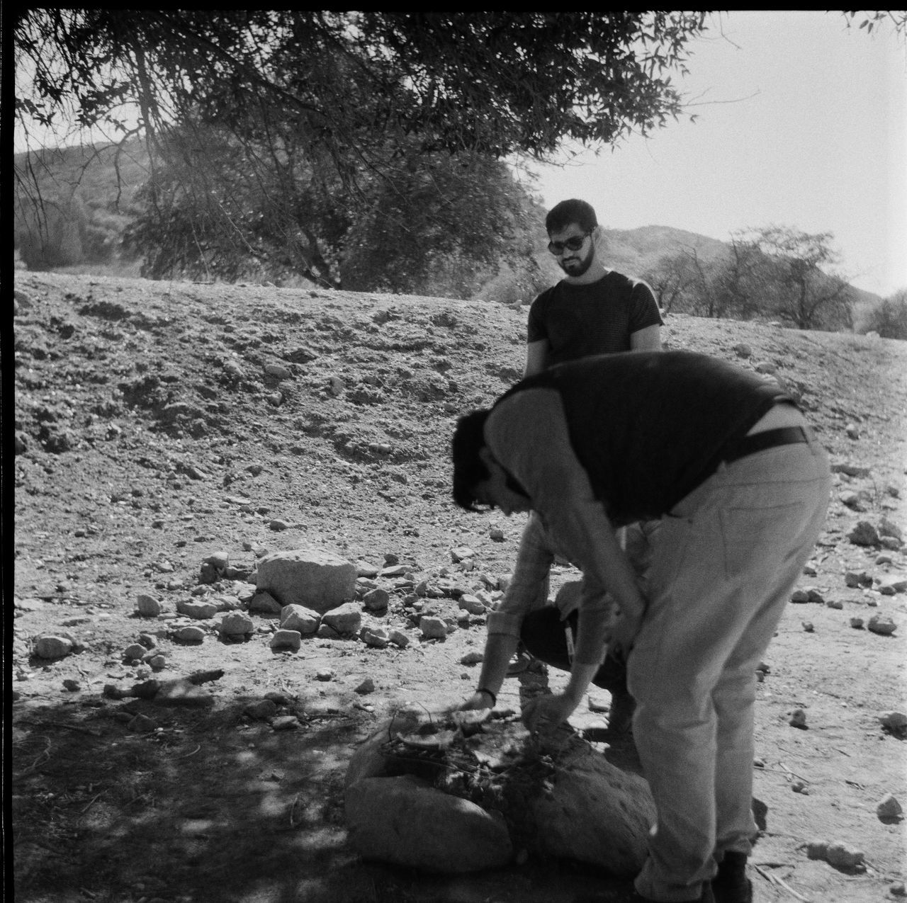 REAR VIEW OF COUPLE SITTING ON TREE