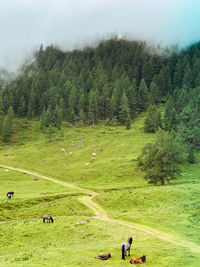 High angle view of people on field against trees