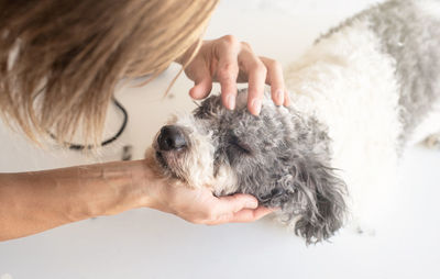 Midsection of woman with hand holding dog