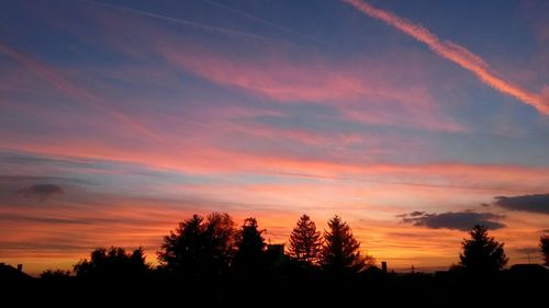 Silhouette trees against sky during sunset