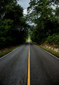 Empty road along trees in forest