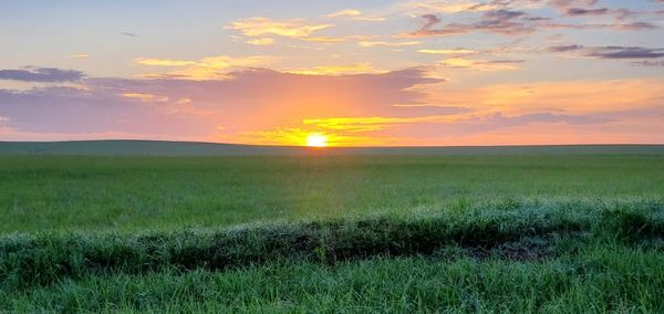 Scenic view of field against sky during sunset