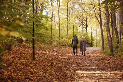 Couple walking in autumn forest