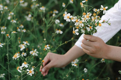 Midsection of woman holding flowering plants on field