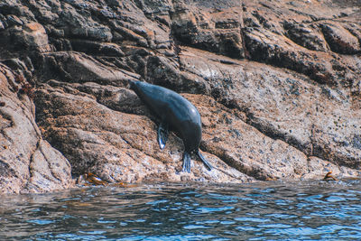 Sea in a rock