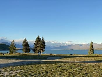 Scenic view of sea against clear blue sky