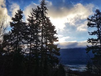 Silhouette trees by lake against sky