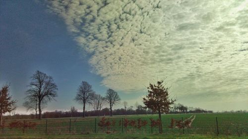 Scenic view of farm against sky