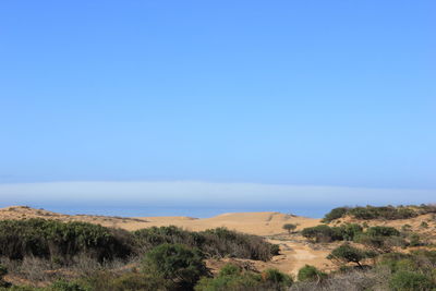 Scenic view of sea against clear blue sky