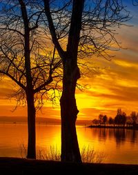 Silhouette bare tree by lake against orange sky