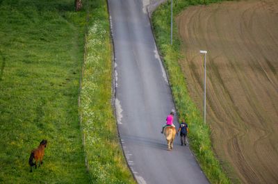 Woman rides a horse near grassy field