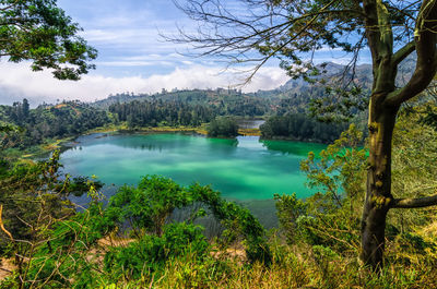 Scenic view of lake by trees against sky