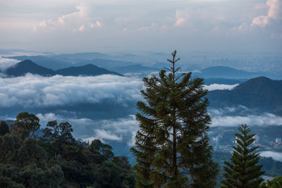 Scenic view of tree mountains against sky