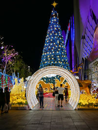 People at illuminated christmas tree at night