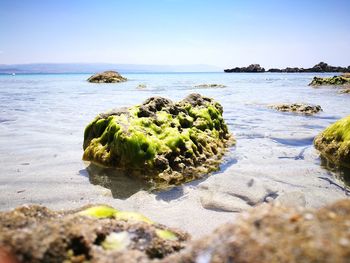 Scenic view of sea against clear sky