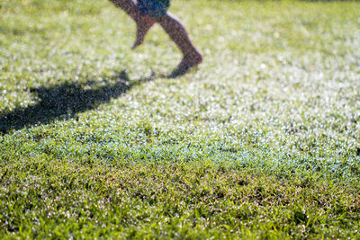 Low section of person running on field