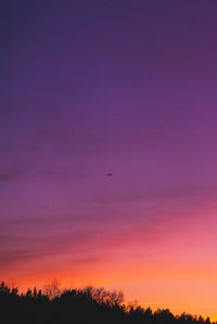 Silhouette of birds flying against sky during sunset