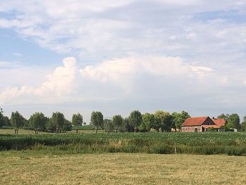 Scenic view of field against sky