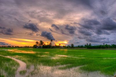 Scenic view of field against sky during sunset