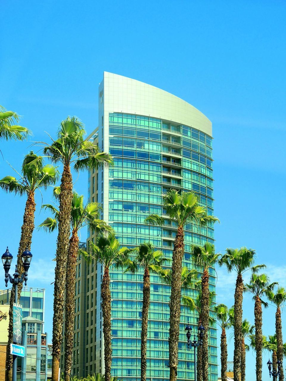 PALM TREES AGAINST BLUE SKY