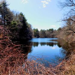 Scenic view of lake against sky