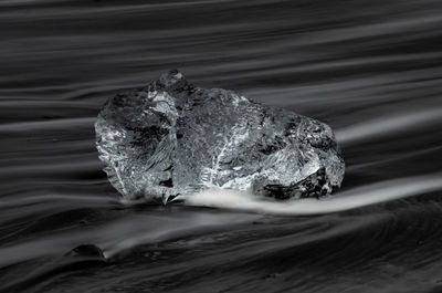 High angle view of rock in sea