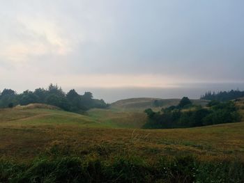 Scenic view of field against sky