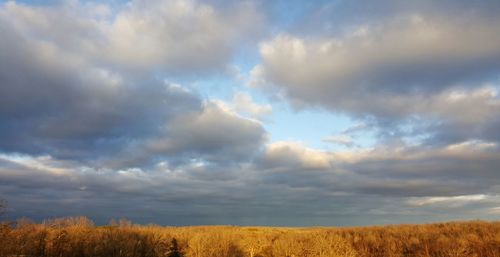 Scenic view of field against cloudy sky