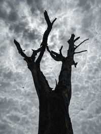 Low angle view of bare tree against sky