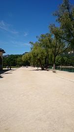 Empty road amidst trees against clear blue sky