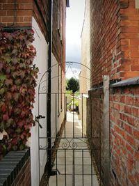 Alley amidst buildings in city