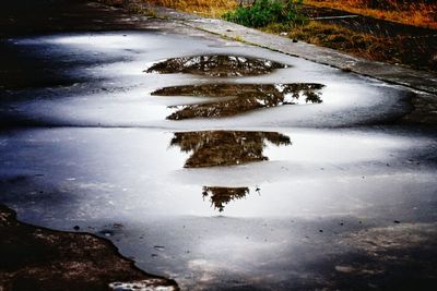 Reflection of trees in puddle