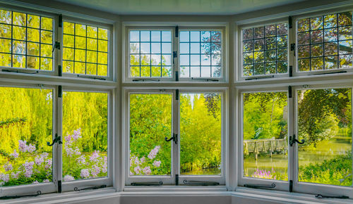 View of window in greenhouse