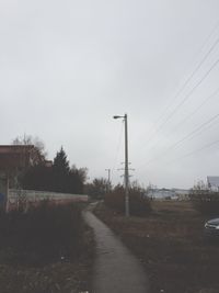 Road along trees