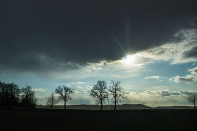Silhouette bare trees on landscape against sky