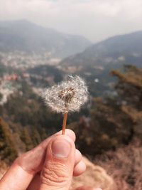 Cropped hand holding dandelion against mountains