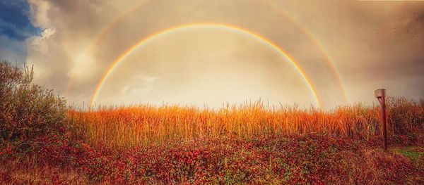 Scenic view of rainbow against sky