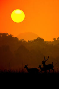 Scenic view of silhouette field against orange sky