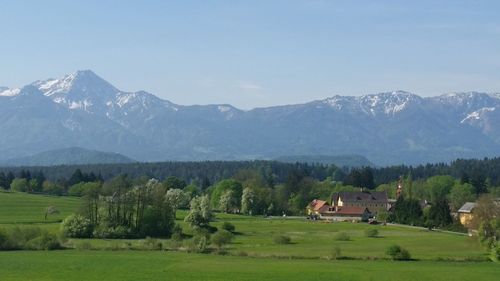 Scenic view of trees and mountains against sky