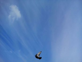 Low angle view of blue sky