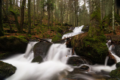 View of waterfall in forest