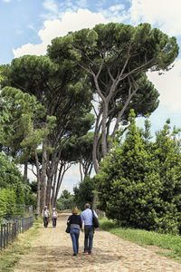 Rear view of people walking on tree