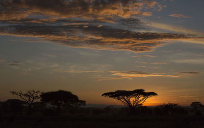 Silhouette trees on landscape against sky at sunset