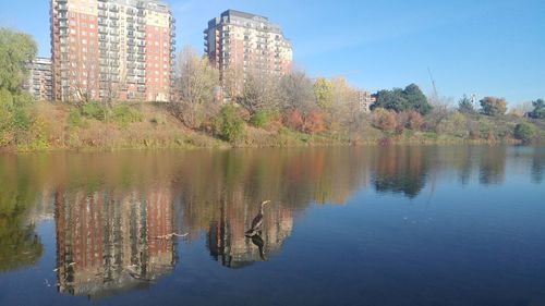 Scenic view of lake by trees against sky