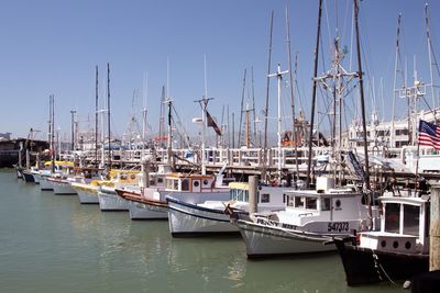 Sailboats moored at harbor against clear sky