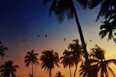 Low angle view of birds flying in sky