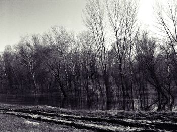 Bare trees on landscape against sky